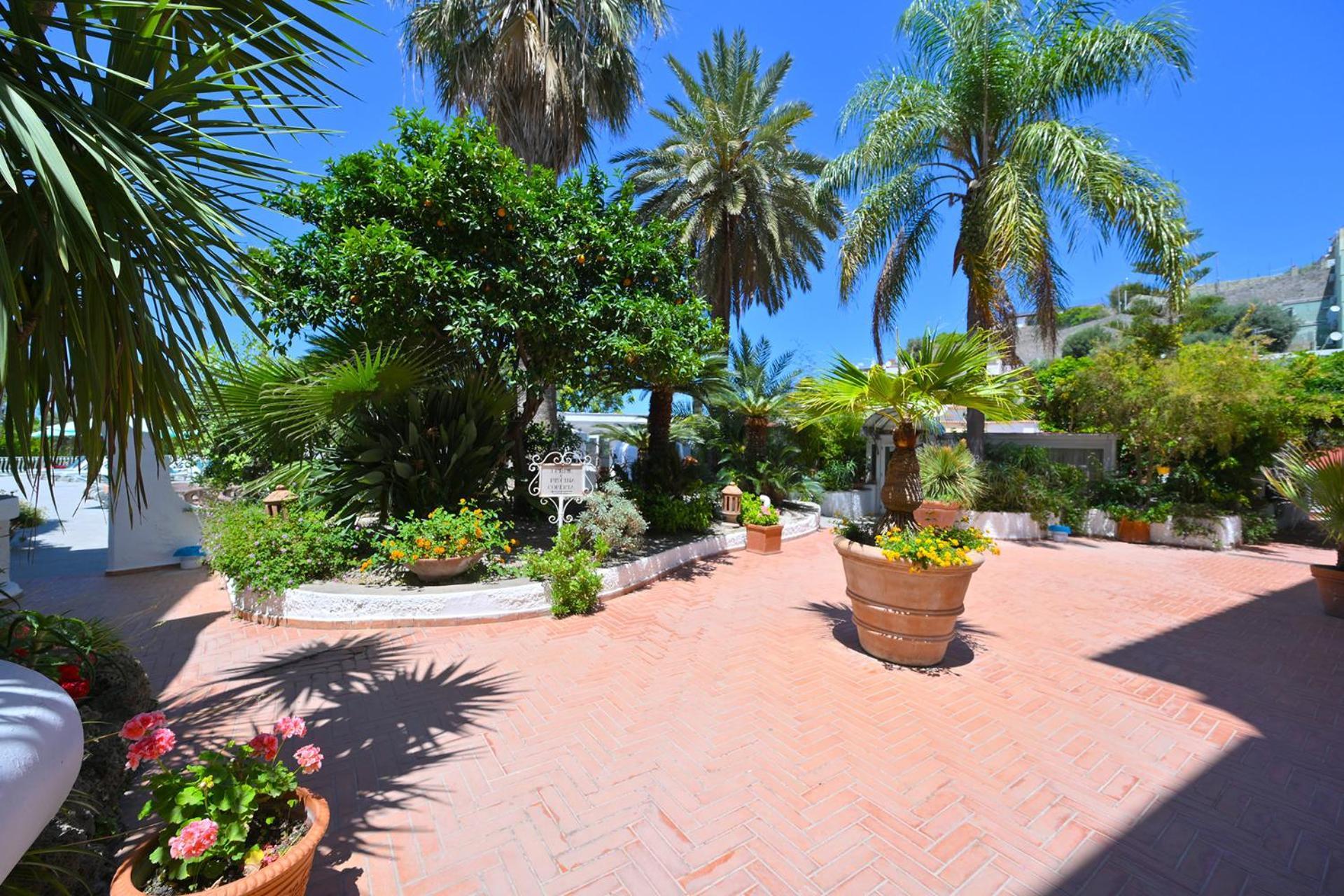 Av Club Terme Colella Hotell Forio di Ischia Exteriör bild